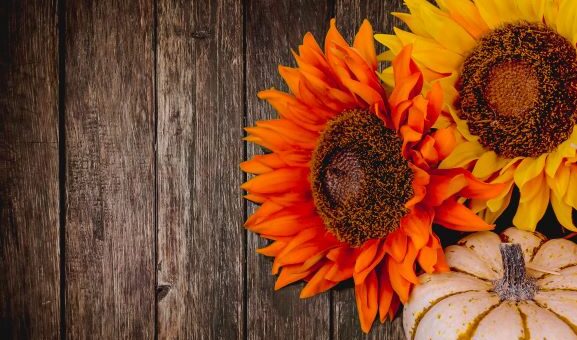 Orange and gold mums against wood