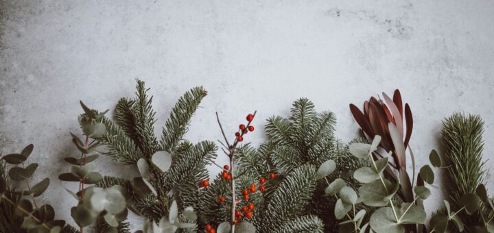 Snowy greenery