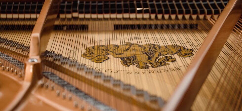 image shows closeup of the interior stringed instrument. The wood is golden in color.