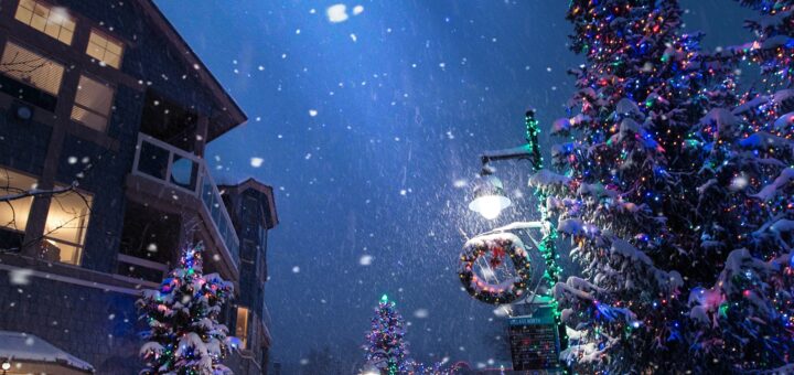 This holiday image shows a cold, stary sky with snowy evergreens along a street lit with light. A tall building with lit windows and Christmas decorations on the main floor faces the street.
