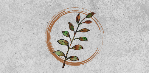 Minding Our Elders logo. Gray textured background with Minding Our Elders center top and A voice for caregivers center bottom. both are in brown. In the center, there is a sketched circle with fading lines on one side. Inside and overlapping the circle is a branch with leaves varying in color from young green to older fading brown.