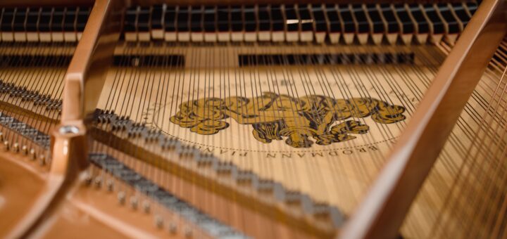 We see a very closeup image of harp-like stringed instrument