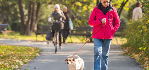 We see a park background with a paved, winding path. In the background on the path we see two sicyclists. In teh foregroupd we see an older woman with white hair wearin a read puffy jacket and jeans. She is walking a small white dog on a leash.
