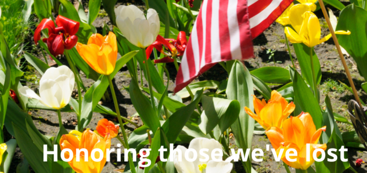A field of yellow, red, white, and mixed tulips dominates the image, with an American flag leaning slightly inward and waving in the breeze.